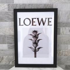 LOEWE type☆A2額装済アートインテリアポスター#915★ロエベ植物 m84741224502_1.jpg?1746708751