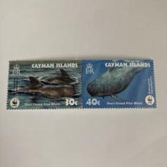 3861 外国切手 ケイマン諸島 1995年 ウミガメ 6種完 3861 外国切手 ケイマン諸島 1995年 ウミガメ 6種完