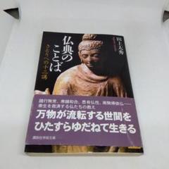 佛典講座 まとめ売り　10冊セット　大蔵出版 佛典講座 まとめ売り 10冊セット 大蔵出版 仏典講座』ほか仏教