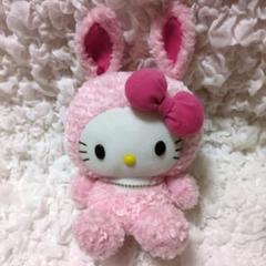 2025年最新】HELLO KITTY ぬいぐるみの人気アイテム - メルカリ