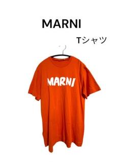 MARNITシャツ14y MARNI キッズ ロゴ Tシャツ 14Y ネイビー