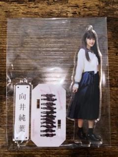 向井純葉 アクリルスタンド アクスタ 三期生おもてなし会 お見立て会 向井純葉 アクリルスタンド アクスタ 三期生おもてなし会 お