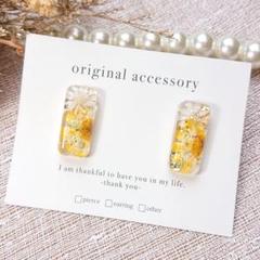 #3894/ハンドメイド♡押し花ドライフラワーレジンピアス