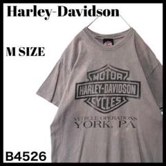 強フェード◎ ハーレーダビッドソン ビッグロゴ プリント Tシャツ グレー Ｍ