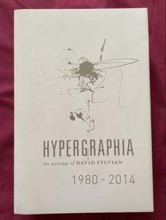 Hypergraphia david sylvian