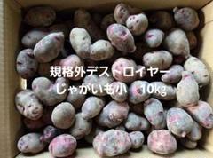 長崎県産超小粒デストロイヤーじゃがいも20㎏ 平日発送限定！長崎県産超小粒デストロイヤーじゃがいも20