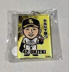 若鷹ガチャ バレンタインバージョン BIGアクリルスタンド 大関友久