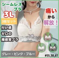 ノンワイヤーブラ 下着 レース ブルー ピンク グレー 3L 3枚セット