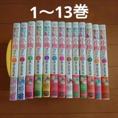 キジトラ猫の小梅さん　1〜23巻　非全巻セット　送料無料　24時間以内発送 717Dc-nKV1L._UF350,350_QL50_.jpg