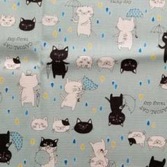 猫さん アンブレラ