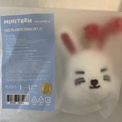 セブチ seventeen miniteen エスクプス スンチョル キーリング
