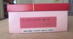 全健会ヒップアップパワーガード　ベージュ　LL/2枚セット　新品・未使用 ヒップアップ パワーガード（Ladies） - カイロプラクティックの