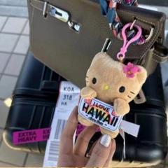 ドール工場限定　HAWAIIキティちゃん　2002年 2025年最新】日焼けキティ ハワイの人気アイテム - メルカリ