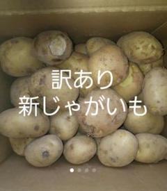 訳あり新じゃがいも