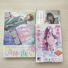 恋愛小説 まとめ売り 14冊 バラ売り⭕️ 2025年最新】恋愛小説まとめ売りの人気アイテム - メルカリ
