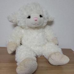 m97200853894_1.jpg?1726581138