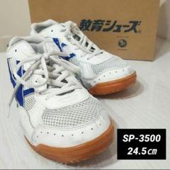 ※7月末迄出品※ 教育シューズ 体育館シューズ 24.5cm SP-3500