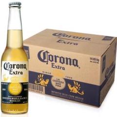 コロナビール エキストラ ボトル 355ml×24本