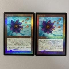 MTG プロモ 睡蓮の花 日本語 FOIL 旧枠 2枚セット - メルカリ