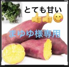 栗かぐや苗100本セール 栗かぐや芋苗100本セール 果菜