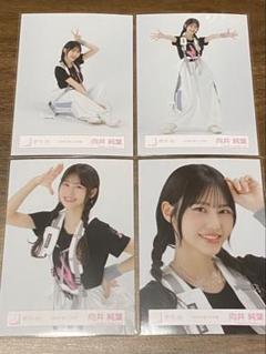 櫻坂46 2024年 夏フェス衣装 生写真 4種コンプ 向井純葉 - メルカリ