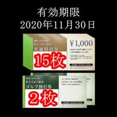 西武ホールディングス 株主優待券 共通割引券 ゴルフ割引券 2万円分セット