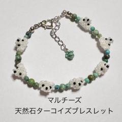 1830★マルチーズ★天然石ターコイズ　ブレスレットのサムネイル