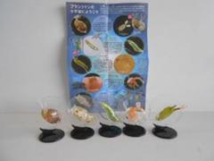 安いミクロコスモス プランクトンの通販商品を比較