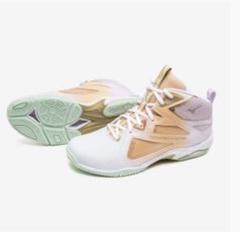 美品　MIZUNO WAVE DIVERSE LG4 24.5cm