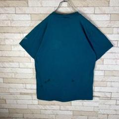 90s TULTEX Tシャツ 鷹 フェード 雰囲気抜群 古着コーデ オシャレ