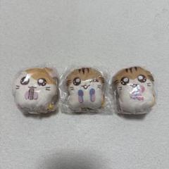 かぷっこふれんず2 とっとこハム太郎 ハム太郎 トラハムちゃん トラハムくん