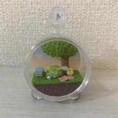 すみっコぐらし　すみっコな1日てらりうむ　ぺんぎん？&たぴおか