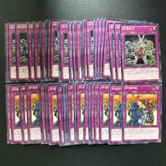 遊戯王 御前試合 群雄割拠 ノーマル30枚
