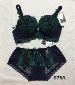 新品 ワコール サルート 34G ブラジャー G75 ショーツL - メルカリ