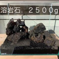 水槽 バクテリア 石の中古 未使用品を探そう メルカリ 水槽 バクテリア 石の中古 未使用品を探そう メルカリ