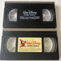 ディズニー くまのプーさん プリンセスコレクション VHSのみ 2本セット