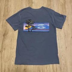 2025年最新】challenger チャレンジャー nature jpn teeの人気