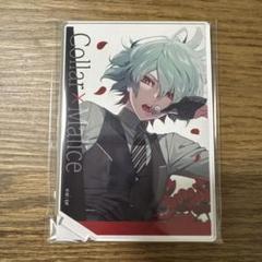 Amazon | オトパ カラマリ メッセージカード 笹塚 尊