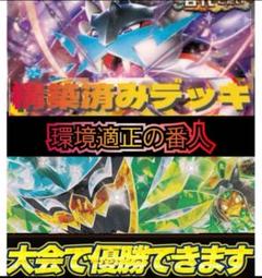 タケルライコ　ライコポン　ポケモンカード　構築済みデッキ