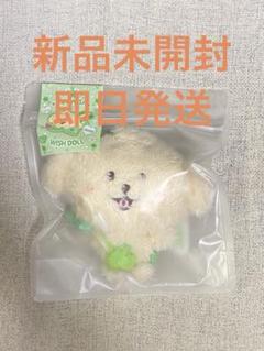 NCT WISH doll ジェヒ デントリバー ぬいぐるみ ① - メルカリ