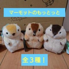 マーモット　ぬいぐるみ　３点セット！