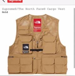 Supreme The North Face Cargo Vest Gold