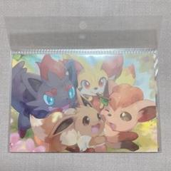 【ポケモン】プレースマット4枚セット MOFU-MOFU PARADISE Amazon | ポケモンセンターオリジナル プレースマット4枚セット