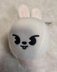 リービット　Leebit トイワールド　ぬいぐるみ　キーホルダー straykids スキズ skzoo leebit リービット キーホルダー