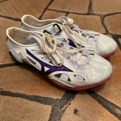 クロノインクスネオジャパン　24.5センチ MIZUNO ミズノ クロノインクス JAPAN 陸上 スパイク 短距離
