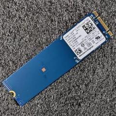 Western Digital WD Blue SN550 256GB SSD