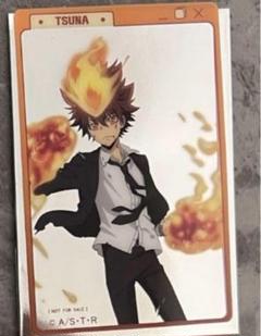家庭教師ヒットマンREBORN! アクリルカード　澤田綱吉　海外限定　特典