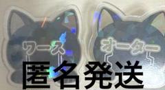 2025年最新】マッシュル ナンジャタウン オーターの人気アイテム