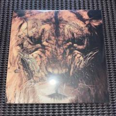 ■[廃盤] BREATHE MY WORDS デモCD「TRIGGER」■バンド □[廃盤] BREATHE MY WORDS デモCD「TRIGGER」□バンド Breathe