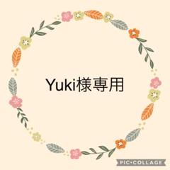 オプション追加分